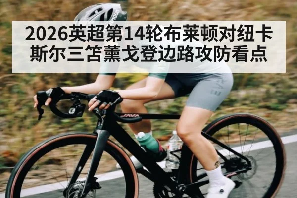 2026英超第14轮布莱顿对纽卡斯尔三笘薰戈登边路攻防看点